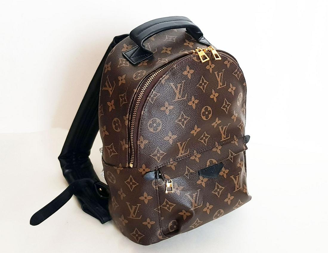 LOUIS VUITTON PALM SPRINGS PM BACKPACK (1 of 15)