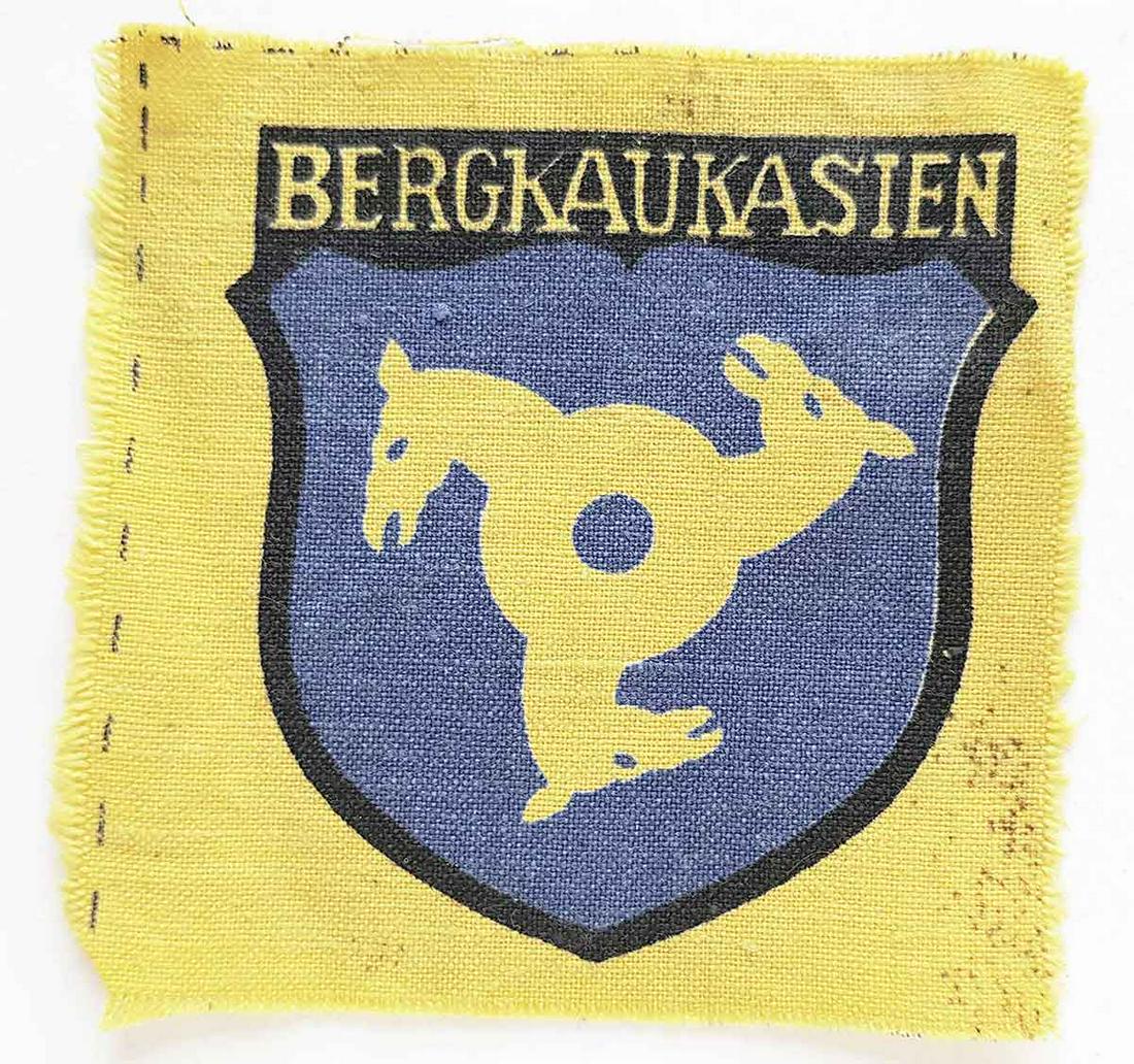 GERMAN WW2 BERGKAUKASIEN VOLUNTEER's SLEEVE SHIELD (1 of 10)
