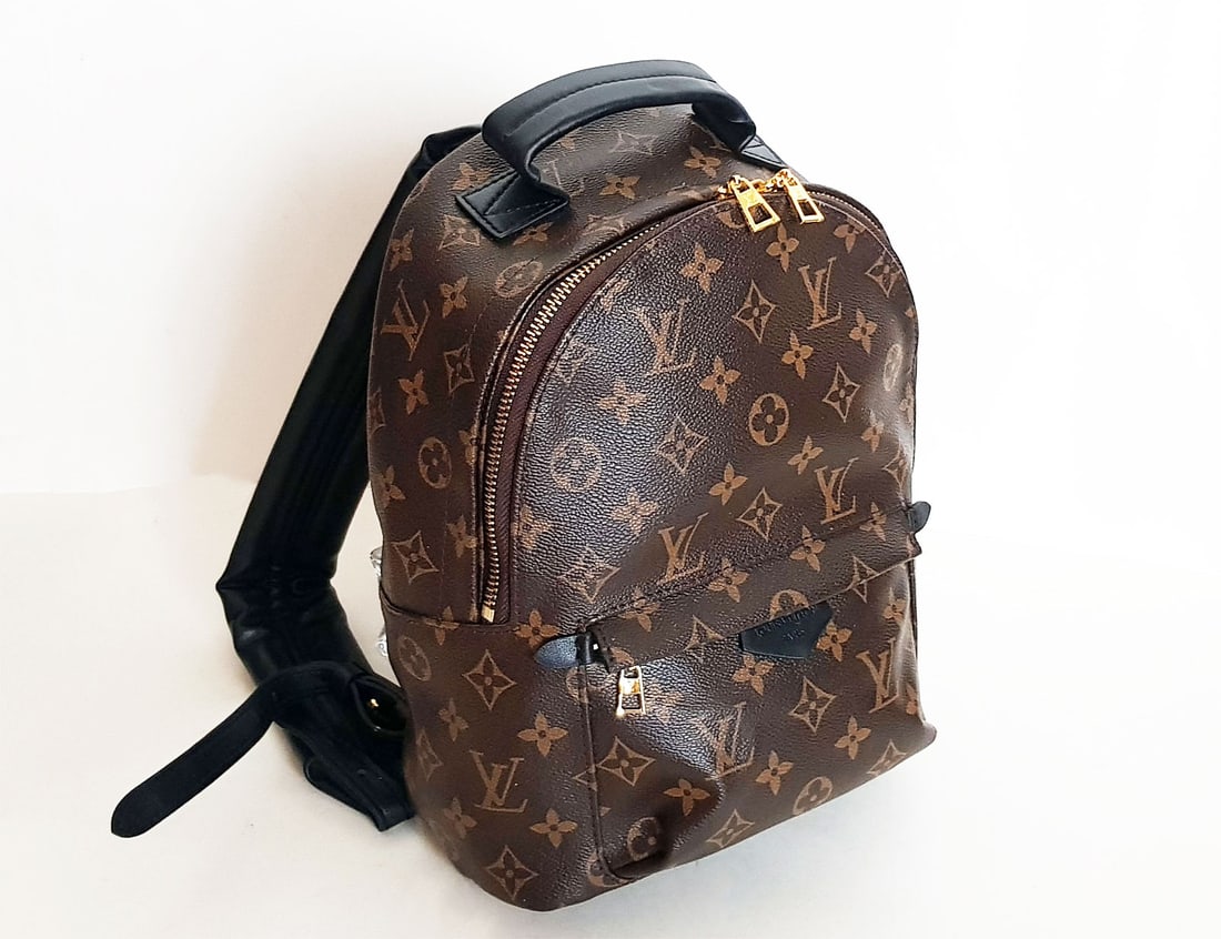LOUIS VUITTON PALM SPRINGS PM BACKPACK (1 of 15)