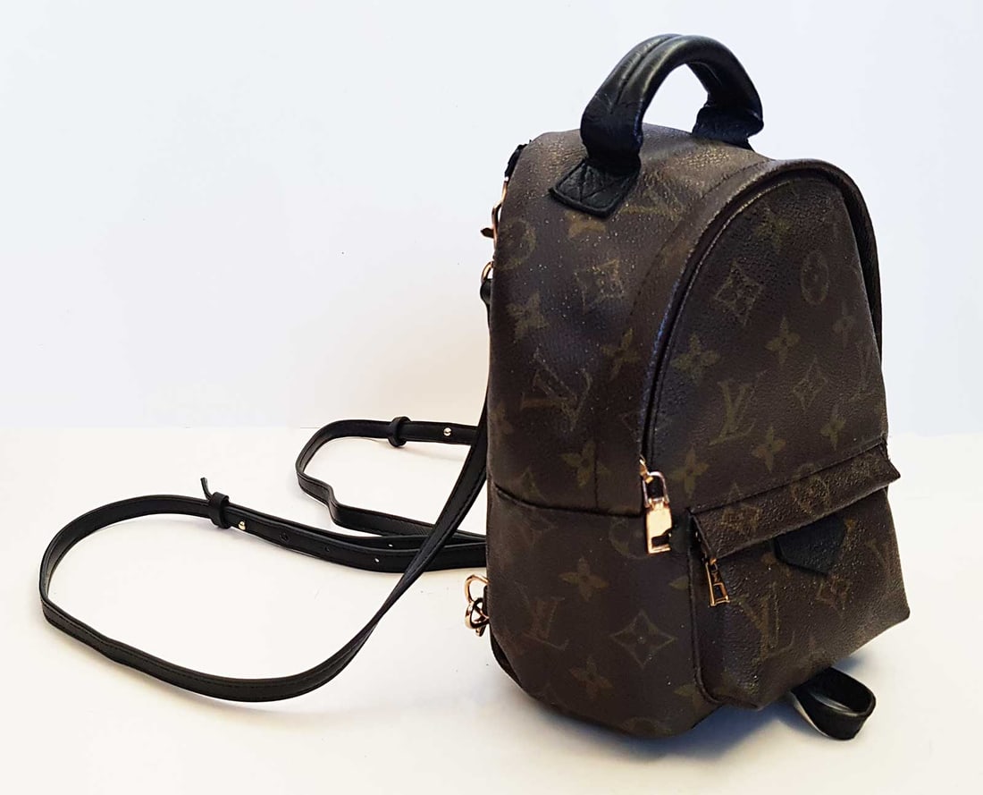 LOUIS VUITTON MINI BACKPACK USED (1 of 19)
