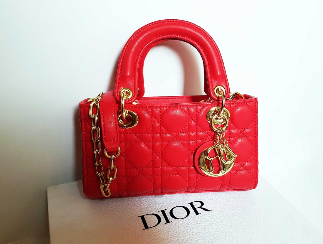 DIOR SMALL LADY D-JOY BAG (1 of 17)
