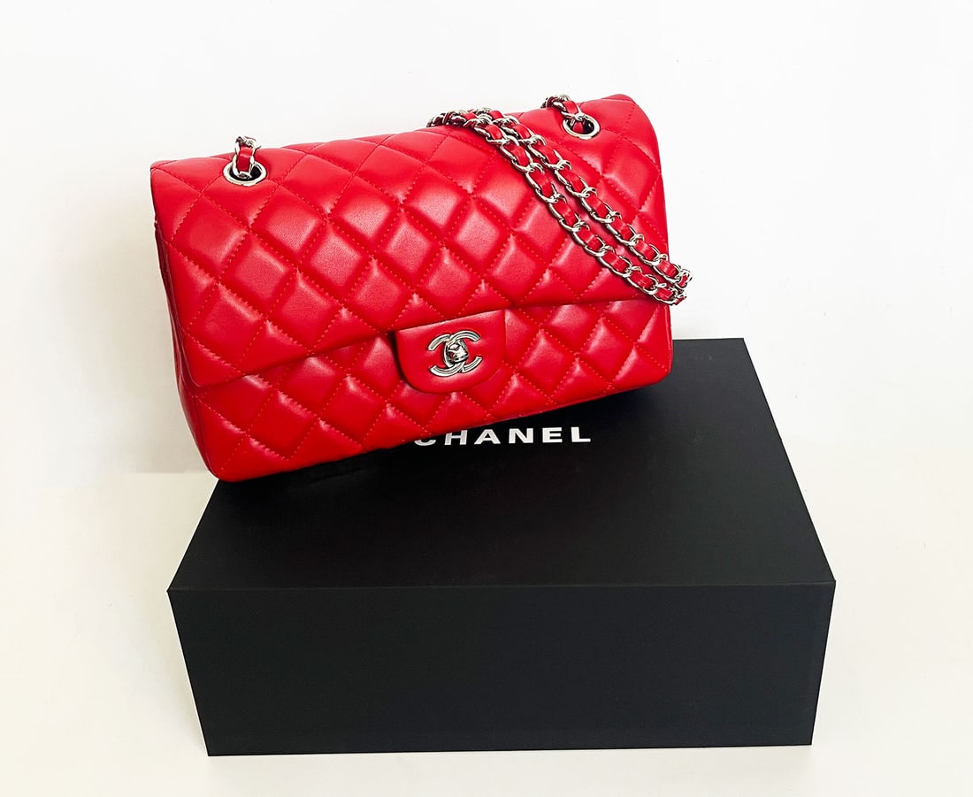 CHANEL CLASSIC DOUBLE FLAP MEDIUM (1 of 16)