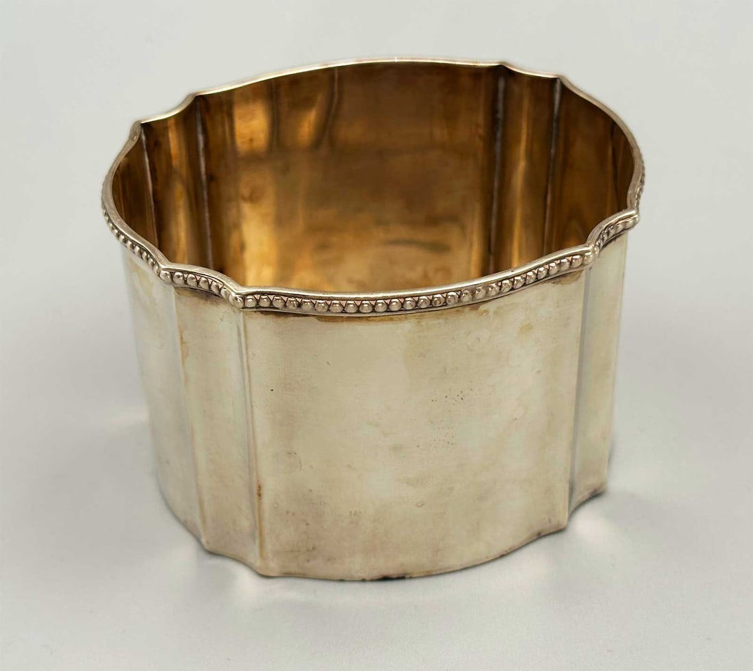ANTIQUE CONTINENTAL SILVER MUSTARD POT (1 of 7)