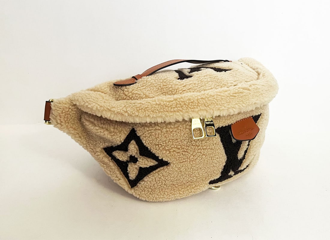 LOUIS VUITTON MONOGRAM LV TEDDY BUMBAG (1 of 13)