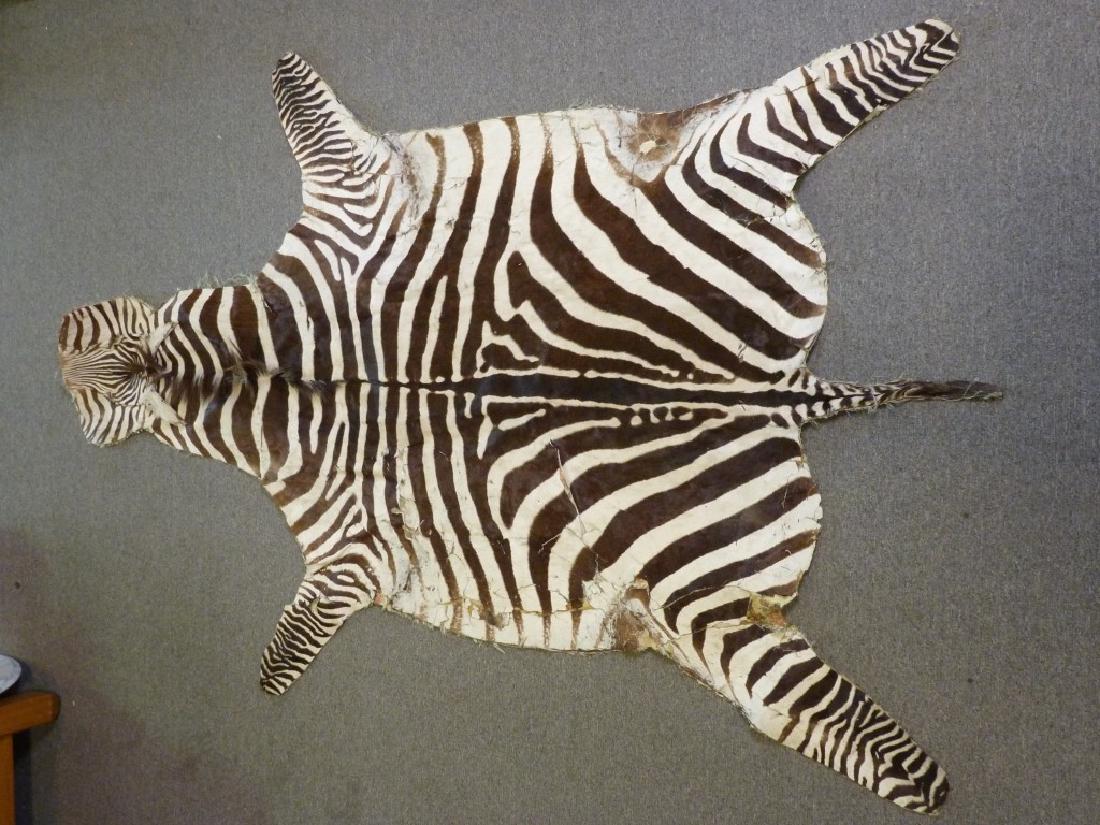Genuine Zebra Hide: 94 l x 63 w inches.