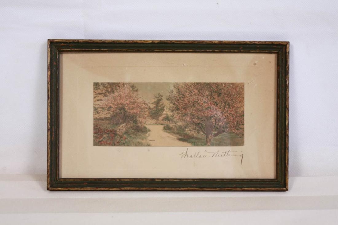Wallace Nutting, Cherry Blossoms: Framed, hand colored black and white photo. 6 H x 10.5 H inches Wear to frame and bit of discoloration.