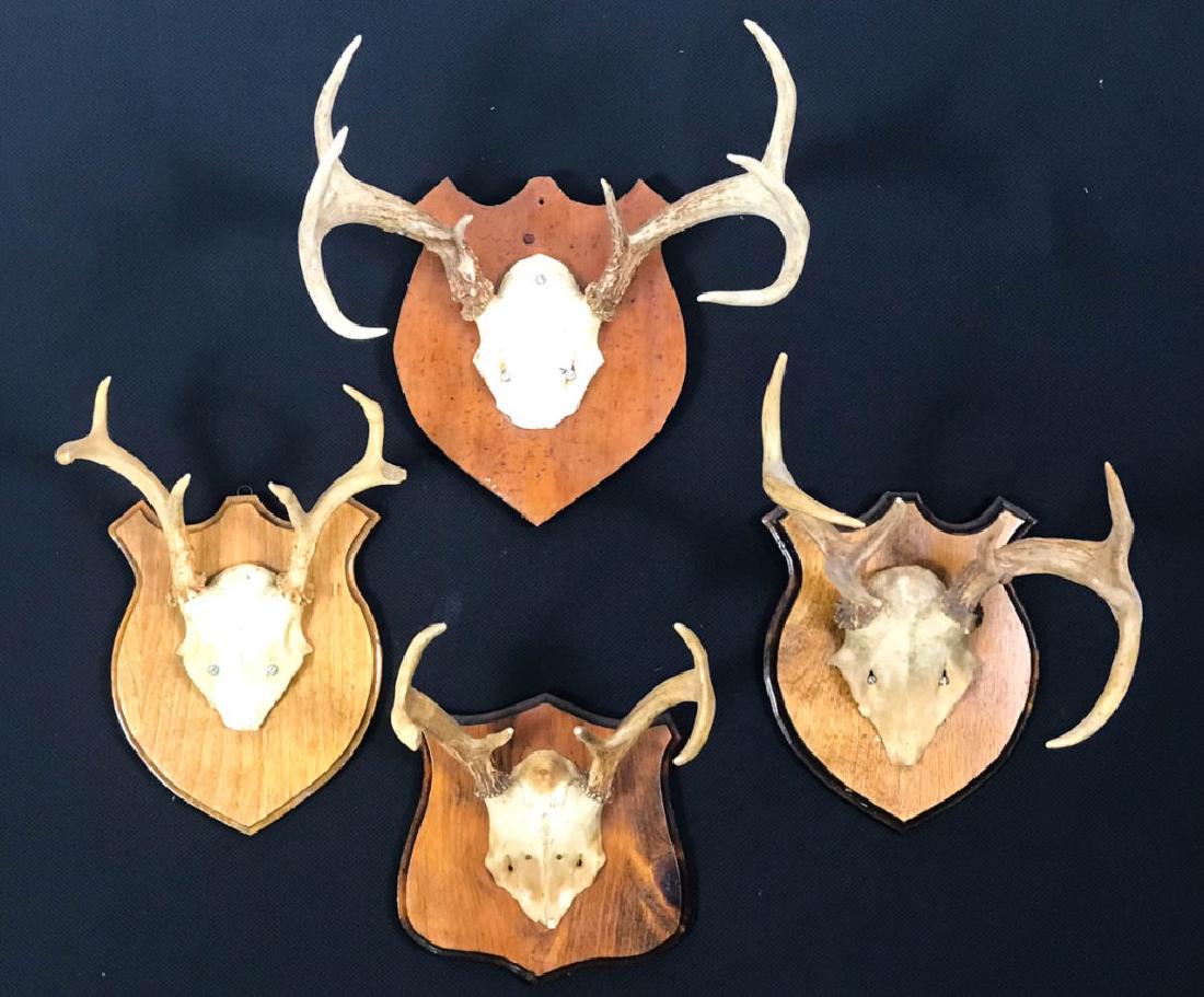 Set of 4 Deer Antlers: Sizes from 9h x 9w x 9d to 11h x 14w x 12d inches. #DeerAntlers