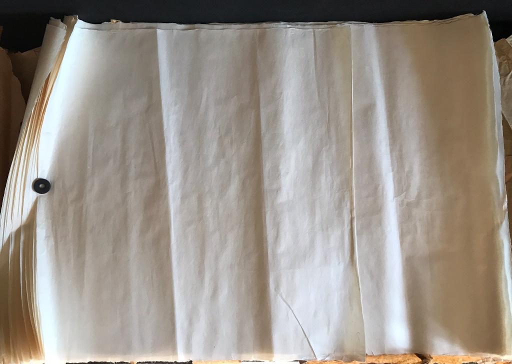 Mulberry Pith Paper (15 Sheets): 24 x 33.5" 15 sheets