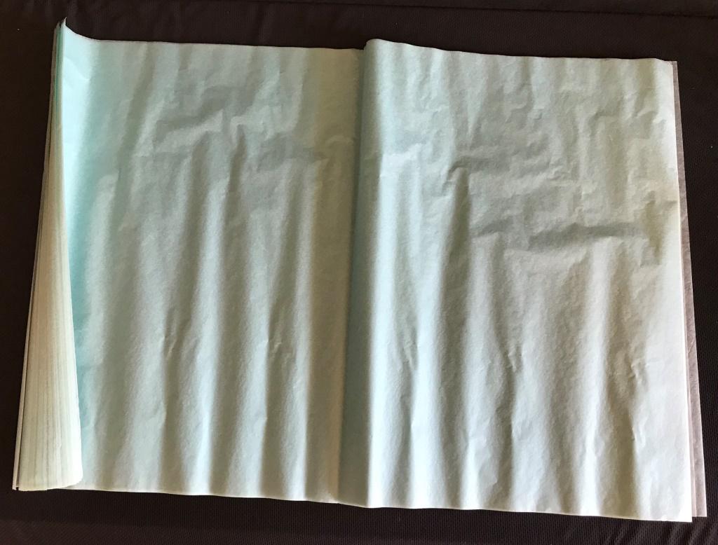 Robin's Egg Blue Organic Paper: 30" x 20" Some fading.