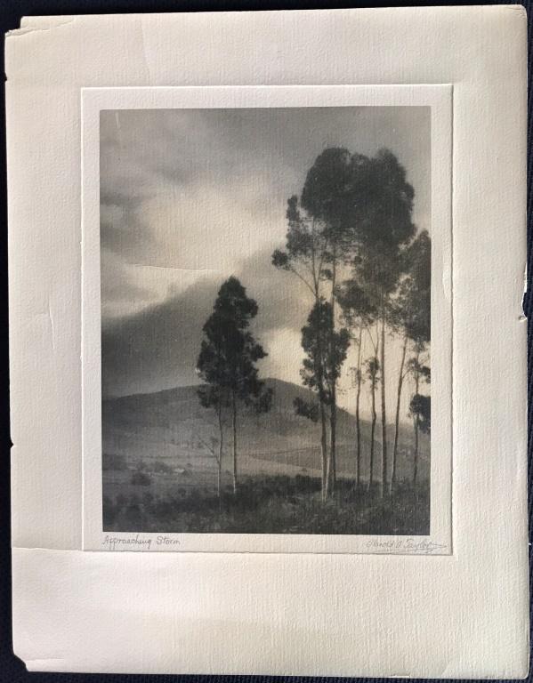 Harold A. Taylor (1878-1960): Landscape (crease in the photograph) Harold A. Taylor was born in England on July 24, 1878. While a resident of Coronado in 1939-40, Taylor ran a photography studio in the Coronado Hotel. He died in L