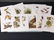 JJ Audubon Bird Prints (16)