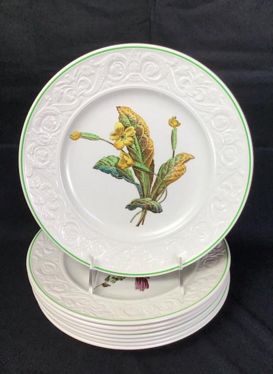 Copeland Spode England Set of 8 Botanical Plates: 8 Botanical Plates, 9d inches