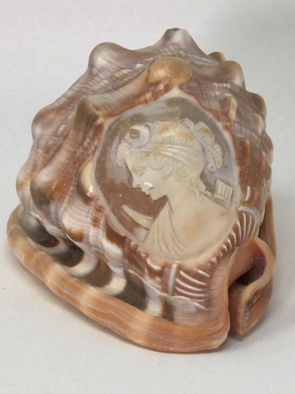 Cameo Conch Shell Carved in Italy (1 of 4)