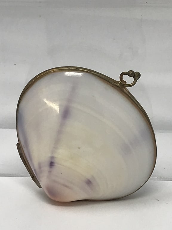 Victorian Clam Shell Coin Purse (1 of 5)