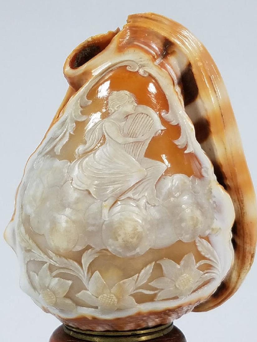 19th Century Cameo Carved Conch Shell (1 of 7)