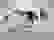 item-58196709=3