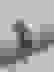 item-58011388=2