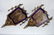 Lot of 2 Antique Wall Sconces, Lighted.