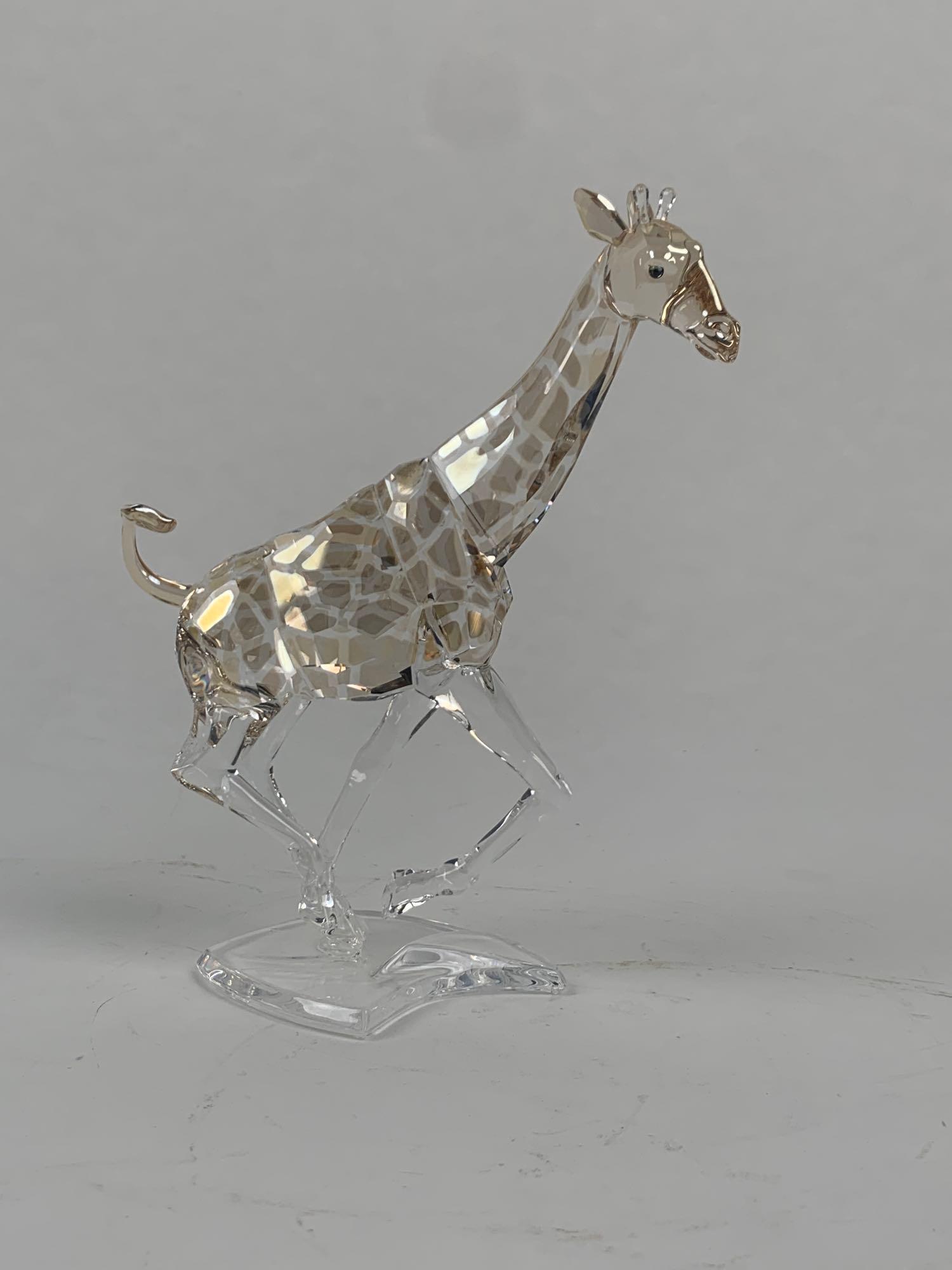 Swarovski Figurine - Giraffe Running (935896) (1 of 11)