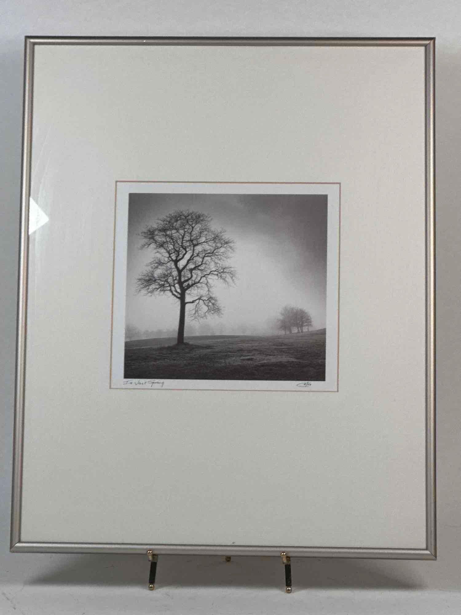 " In Vault Spring " (Catro) (1 of 6)