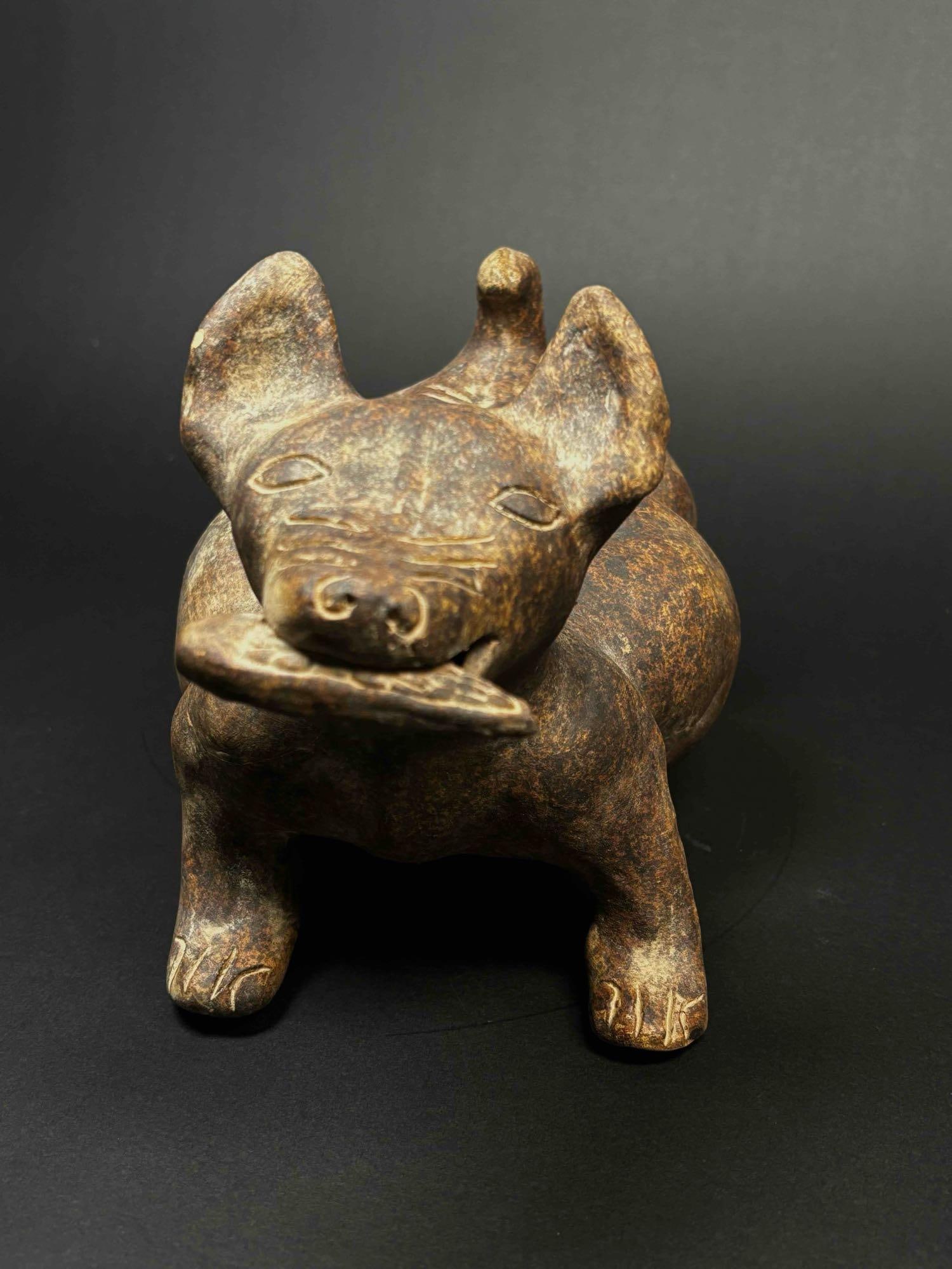 Pre-Columbian Colima Dog (Redware Pottery) (1 of 12)