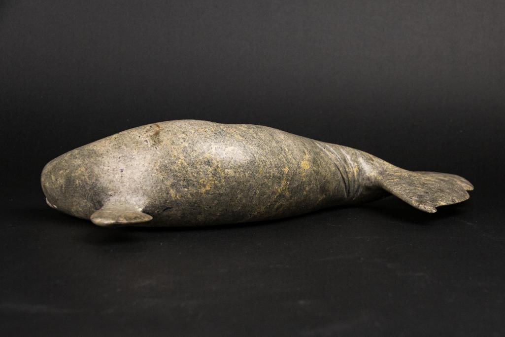 Inuit Narwhale Carving (Kelly Etidloie, 1996): Inuit Narwhal carving missing its horn. Whale is carved from green soapstone. Piece is signed by Kelly Etidloie and dated 1996. This piece was purchased by the collector (Jon Jacobs) in Cape Dorset/Ki