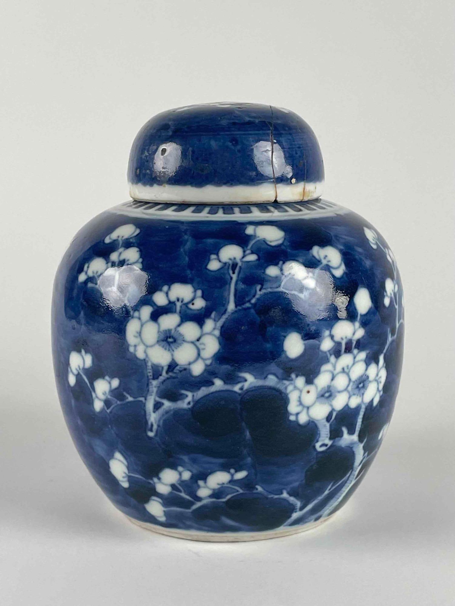 Antique Chinese Blue and White Porcelain Lidded Ginger Jar (1 of 11)