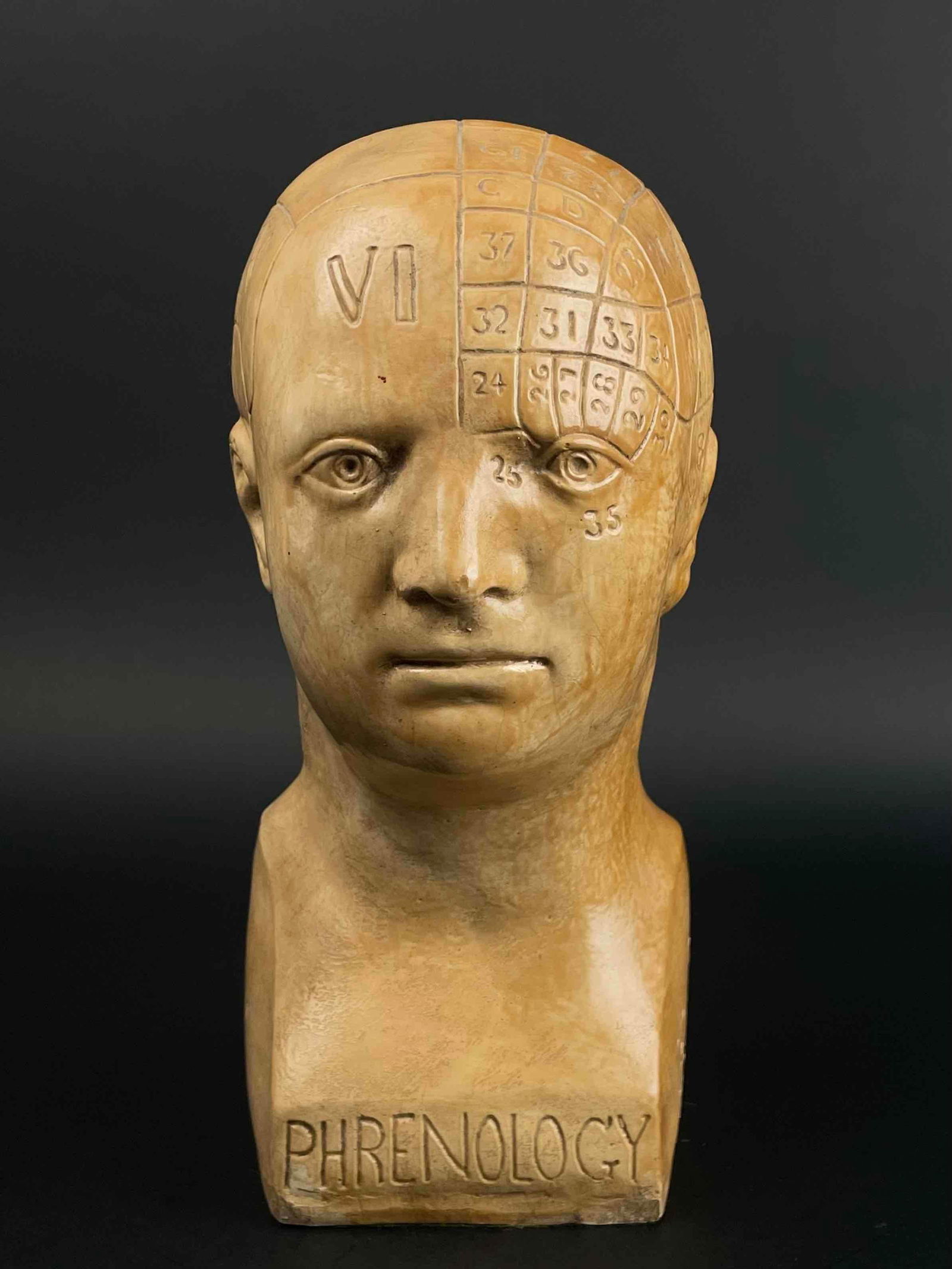 Signed Ceramic Phrenology Bust (Signed) (1 of 12)