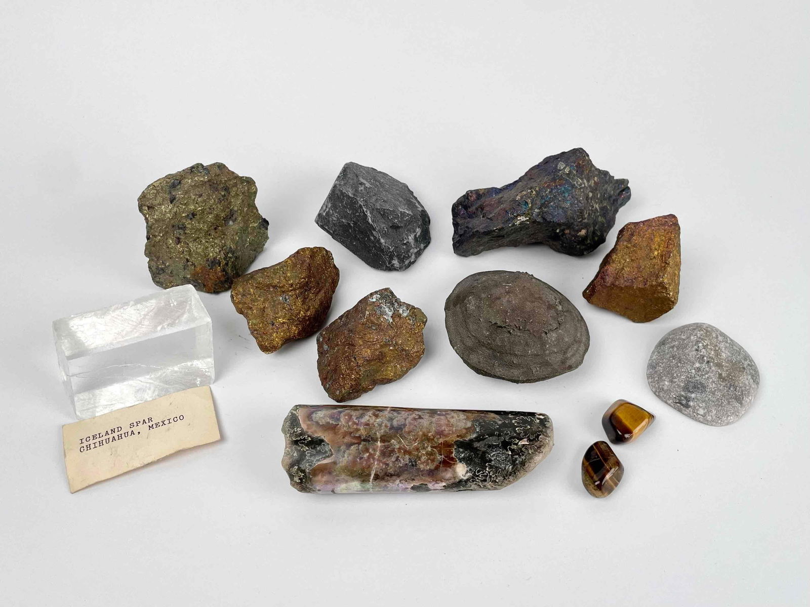Assorted Geological Specimens (Opalized Baculite, Clam Fossil, Spar, Etc.) (1 of 11)