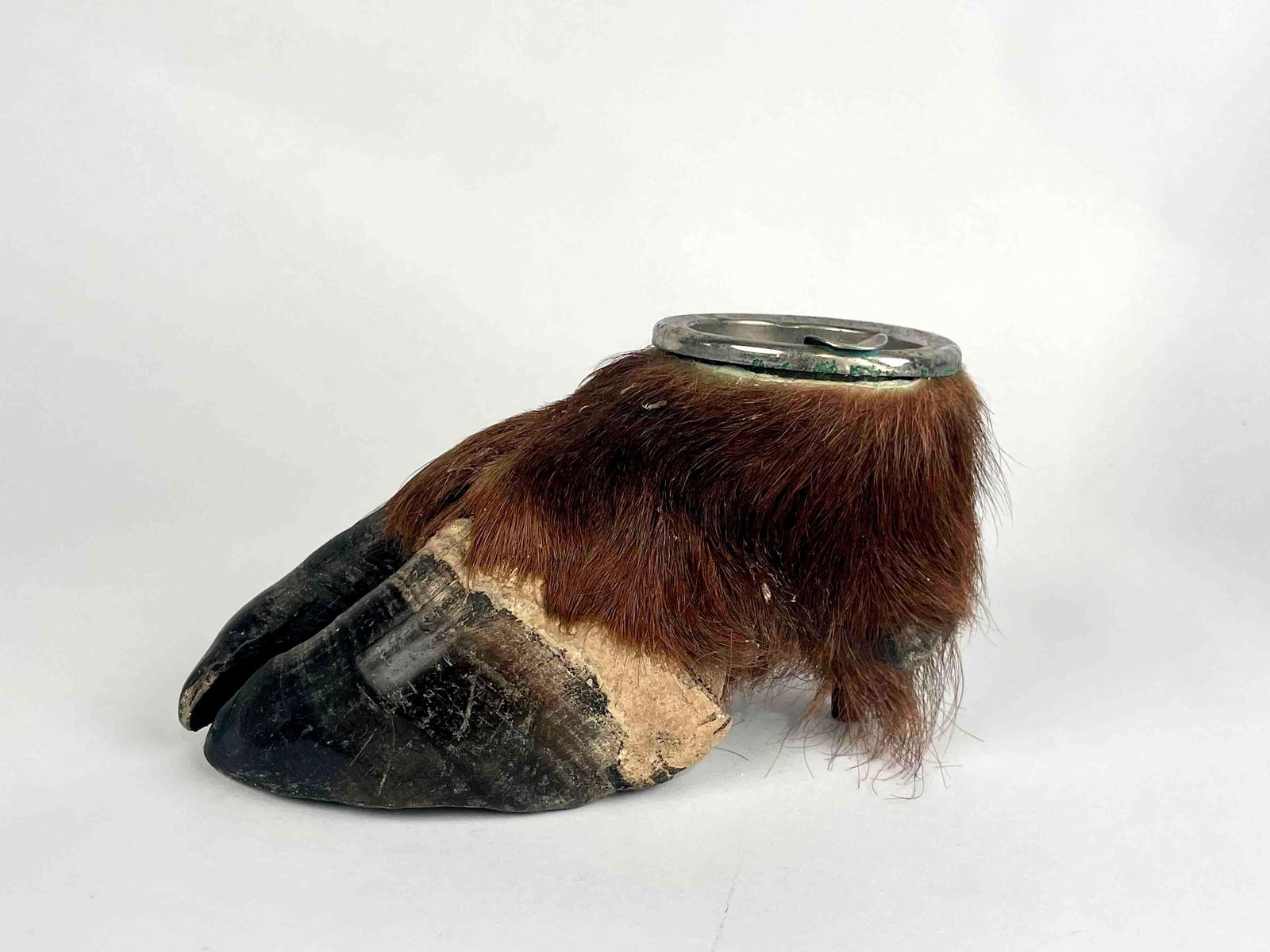 Elk Hoof Taxidermy Ashtray (1 of 10)