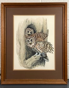 Framed 1980 Print of Barred Owls by Donald Leo Malick