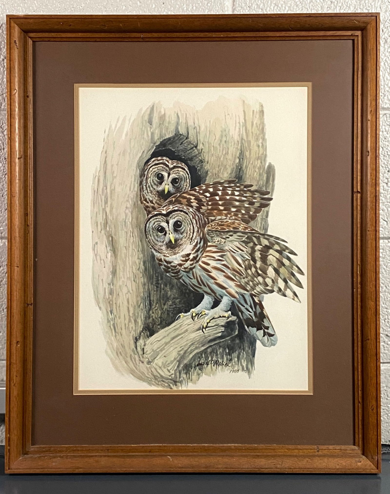 Framed 1980 Print of Barred Owls by Donald Leo Malick (1 of 12)