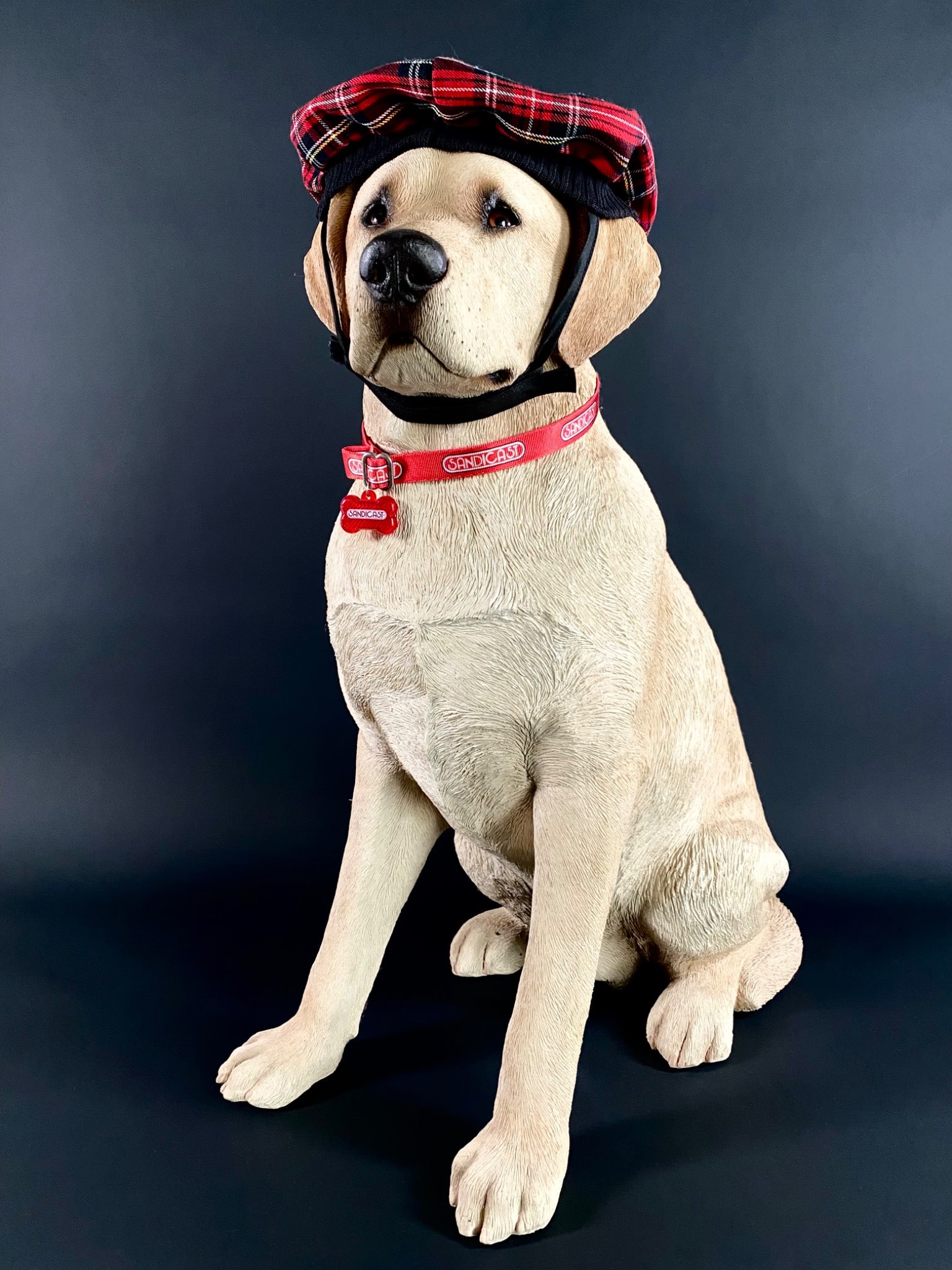 Sandicast Labrador Retriever Dog Sculpture with Plaid Hat and Collar: Sandicast dog sculpture depicting a Labrador retriever wearing a red plaid hat and red collar with an attached bone-shaped tag. Crafted with realistic detail, including textural fur patterns and lifel