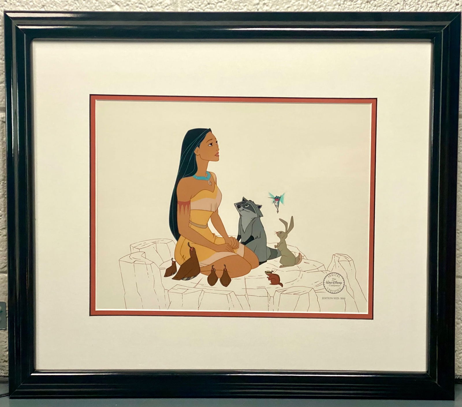 Disney Certified Pocahontas Limited Edition Sericel (COA) (1 of 9)