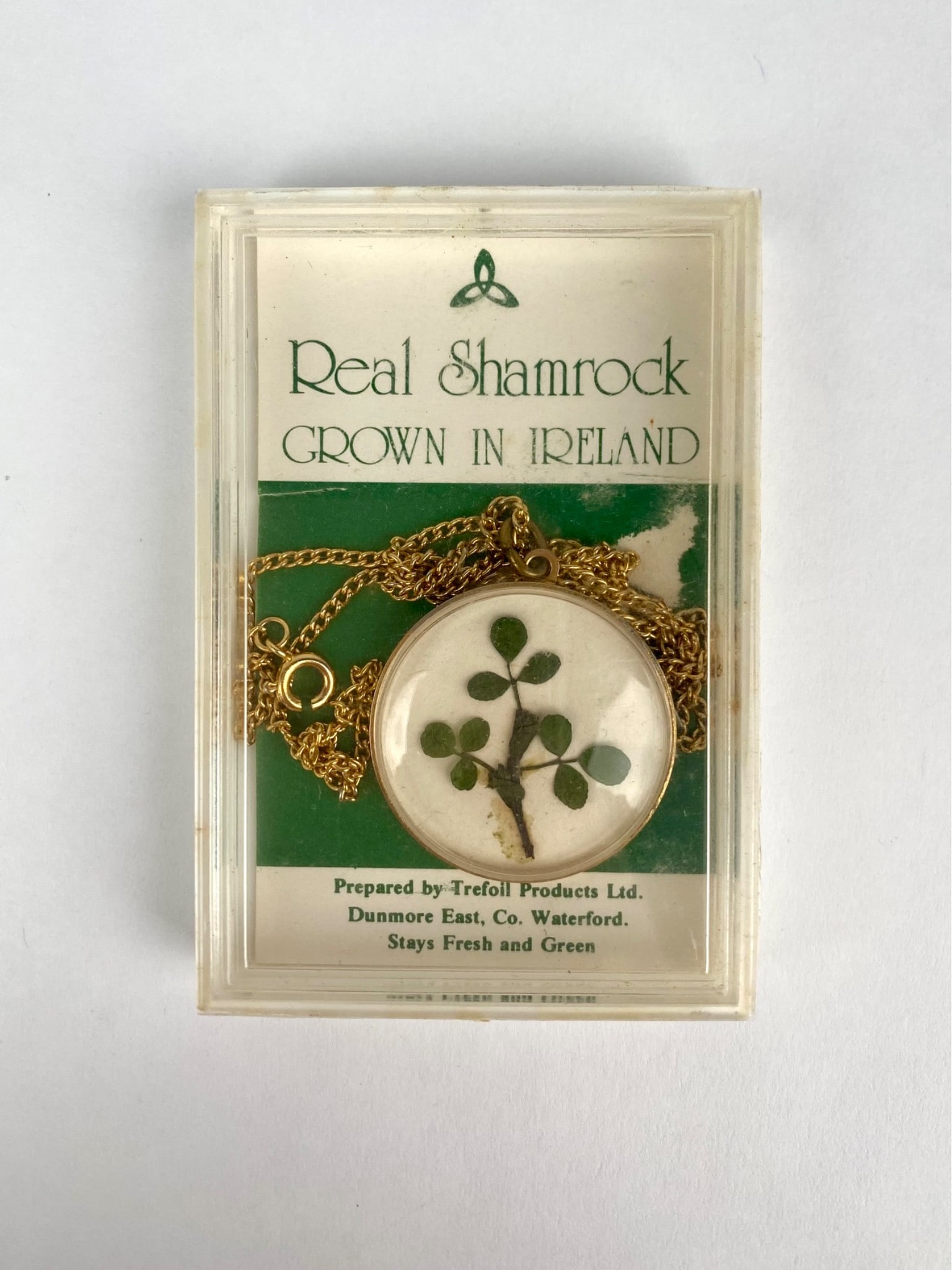 Vintage Real Shamrock Pendant Necklace with Original Packaging: Vintage necklace featuring a real shamrock preserved in a round lucite pendant, set in a gold tone frame. The pendant is engraved on the reverse with SHAMROCK GROWN IN IRELAND and retains its original