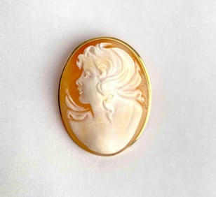 Shell cameo pendant brooch features the high relief profile of a flowing haired woman, carved in