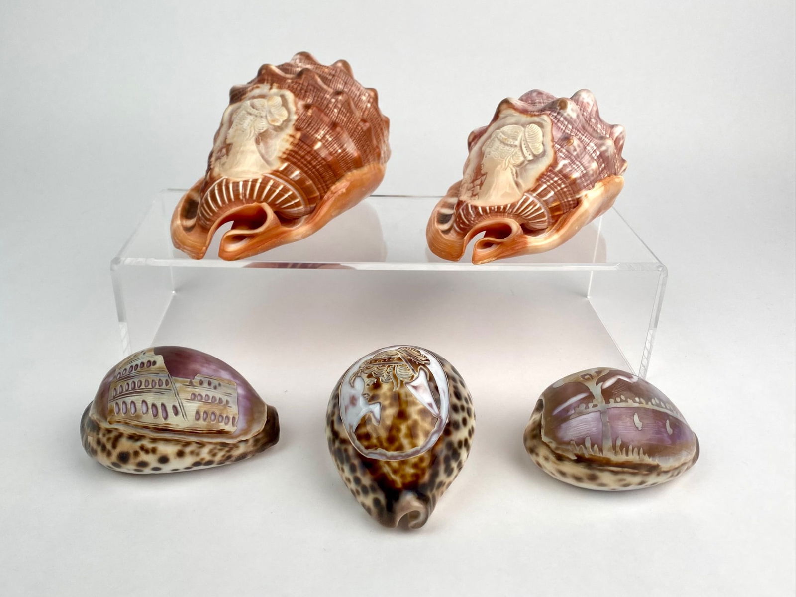 Group of Five Hand Carved Cameo Shells by M and M Scognamiglio, Italy
