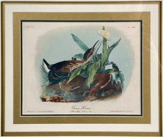 John James Audubon 'Green Heron' Lithograph, Plate 367