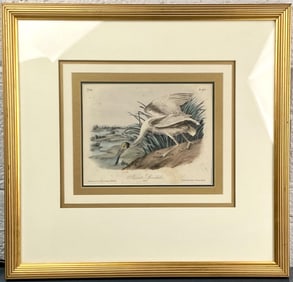John James Audubon 'Roseate Spoonbill' Lithograph, Plate 362
