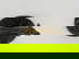 item-208509328=5