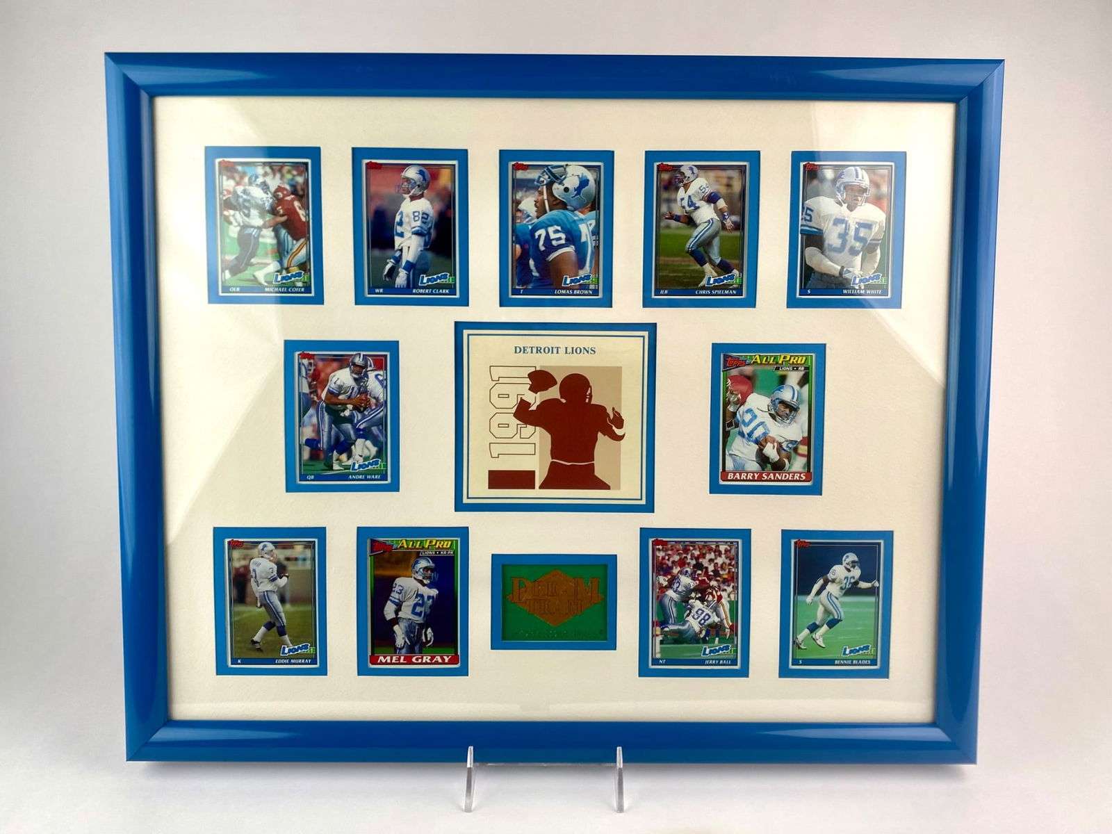 Framed Detroit Lions 1991 Collectible Football Cards (1 of 8)