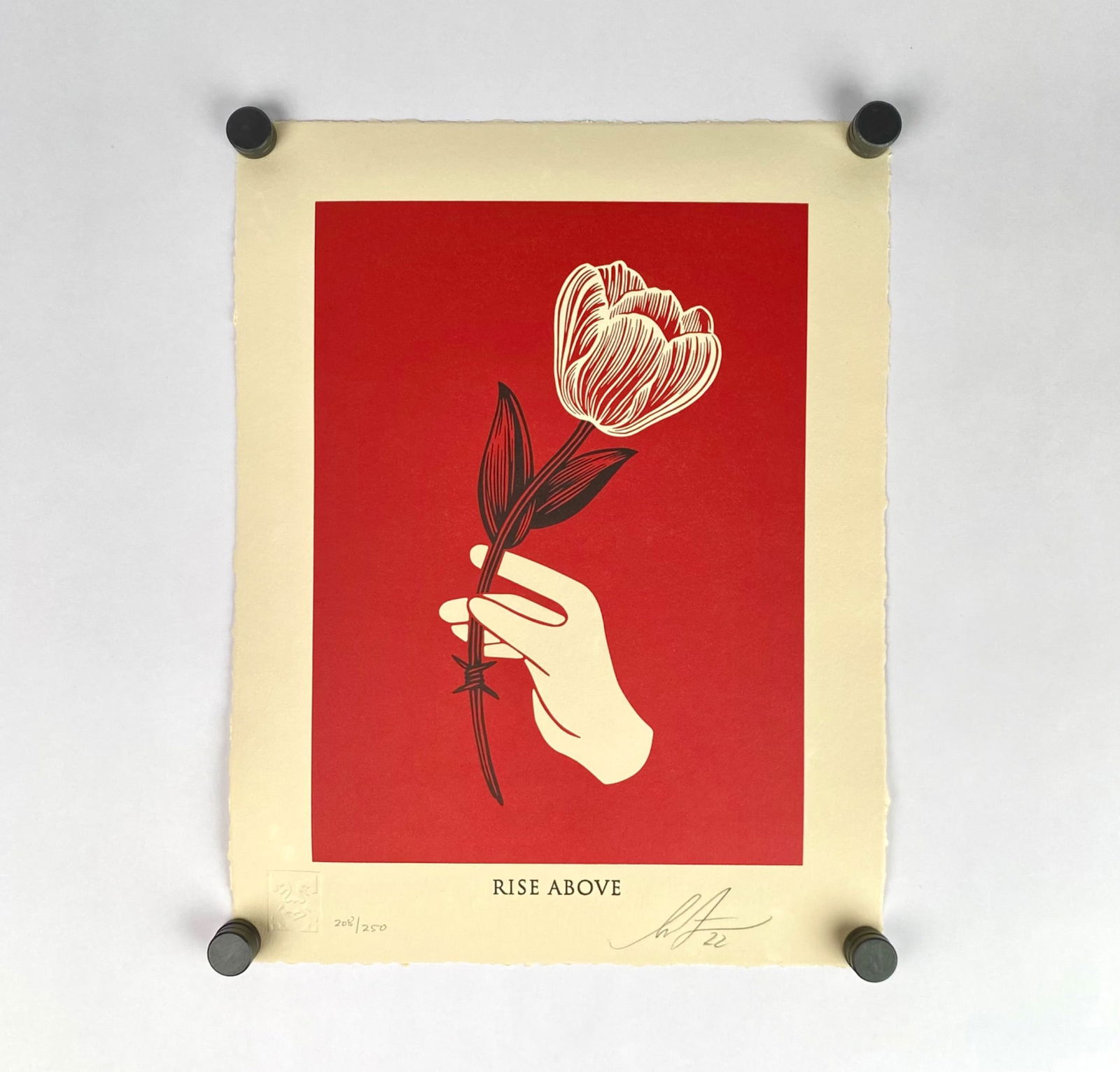 Shepard Fairey “Rise Above Barbwire Flower" Signed & Numbered Screen Print, 2022 (1 of 6)