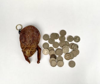 Taxidermy Toad Coin Purse with Nickels (Liberty Head and Buffalo)