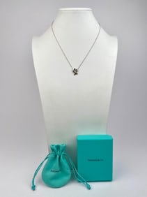 Tiffany & Co. Paloma Picasso Sterling Silver Loving Heart Pendant Necklace with Box