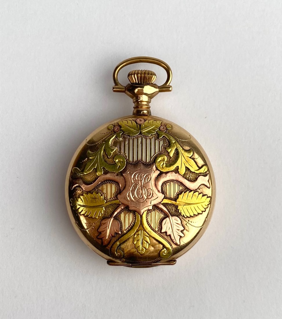 Elgin 17-Jewel Pocket Watch with Multi-Color Floral Engraved Case (1 of 10)
