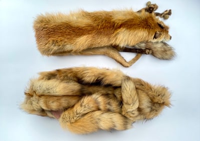 Pair of Vintage Fox Fur Stoles
