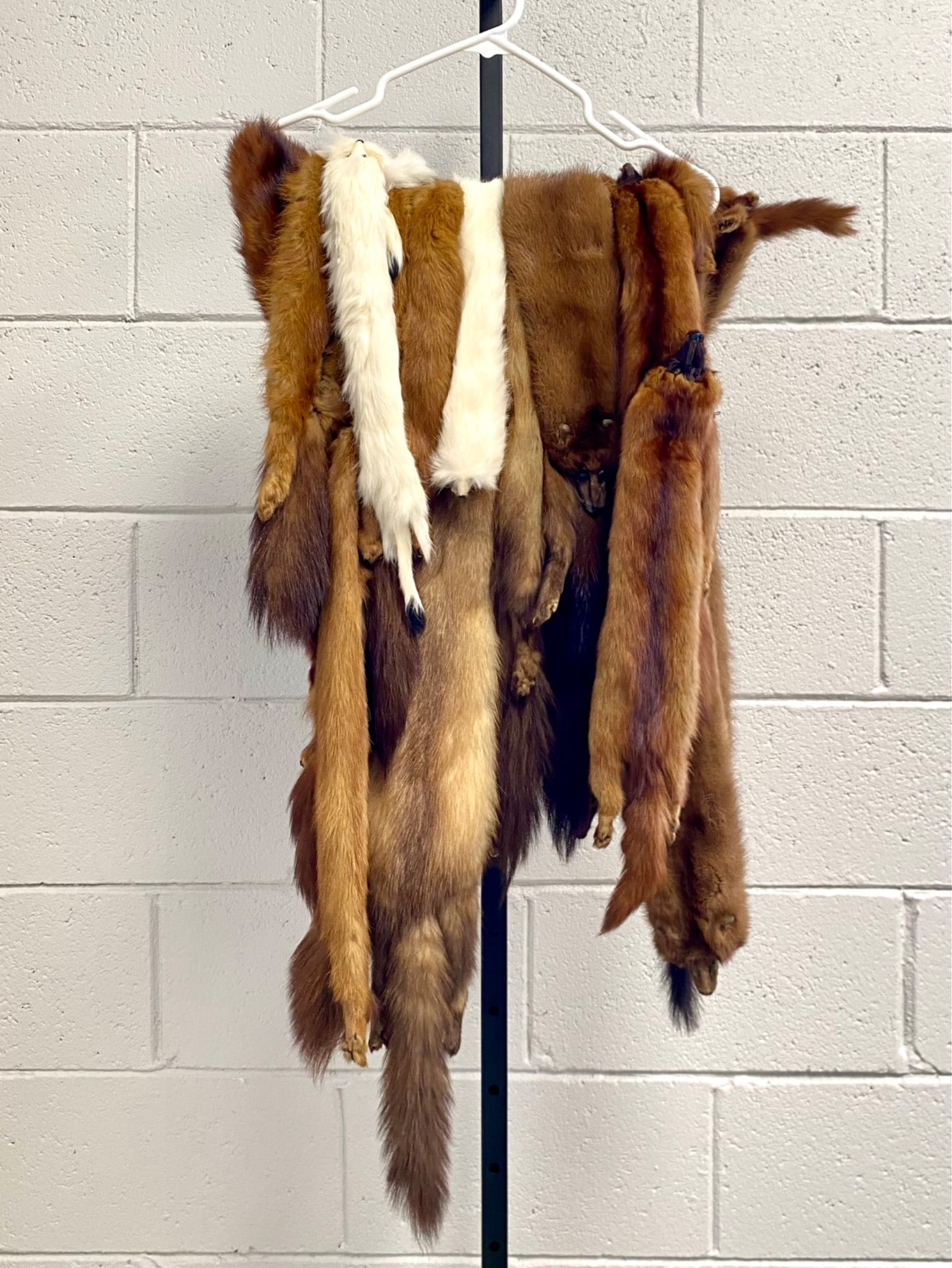 Lot of Seven Vintage Fur Stoles (1 of 12)