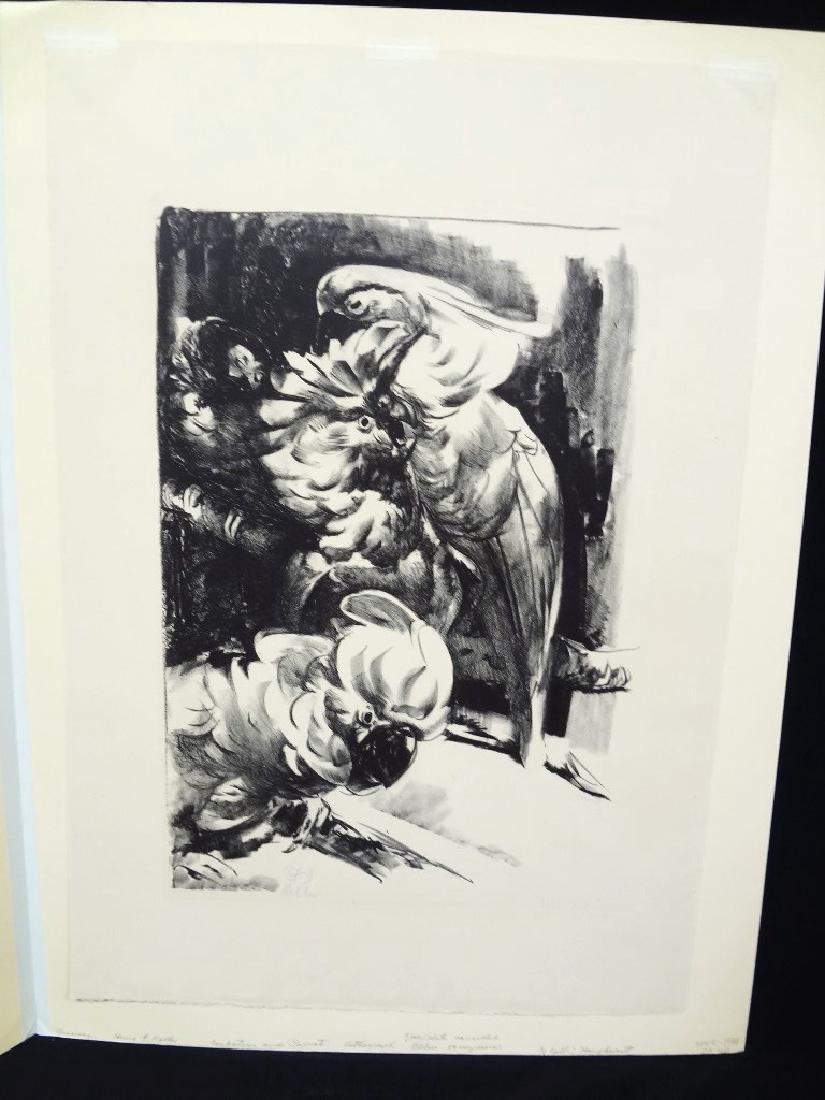 Henry Keller Lithograph "Cockatoos and Parrot" Unframed (1 of 4)