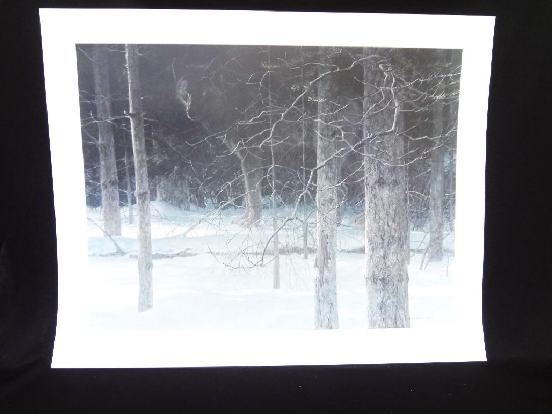 Robert Bateman Signed Lithograph "Midnight Black Wolf" (1 of 3)