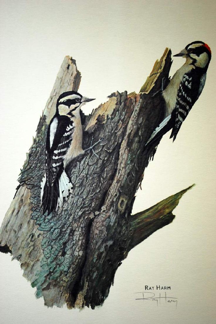Ray Harm Signed Lithograph "Downy Woodpecker" 1969 (1 of 2)